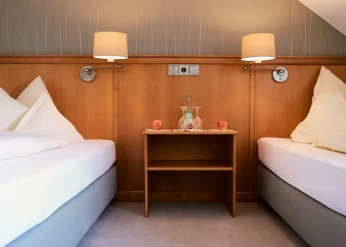 Hotel Alter Wirt